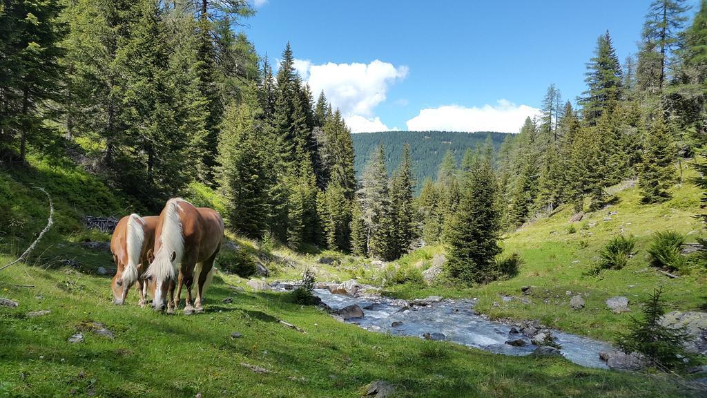 Gästepension Klammer Kartitsch Exteriör bild